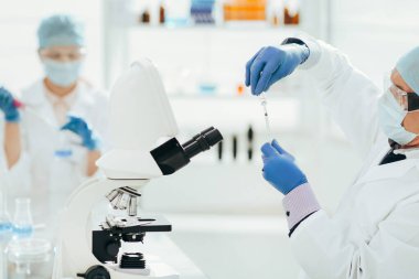 Kapat. Laboratuvarda çalışan bilim adamı mikrobiyolog..