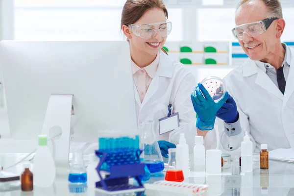 Uśmiechnięci naukowcy z szalką Petriego siedzącą przy stole laboratoryjnym. — Zdjęcie stockowe