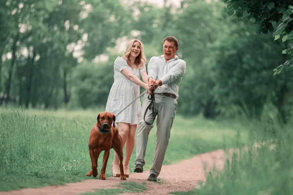 Jonge man en zijn vrouw met hun hond op een wandeling in het park — Stockfoto