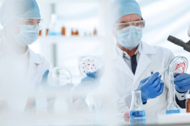 Kapat. mikrobiyologlar bilimsel bir deneyin sonuçlarını tartışıyor..