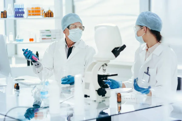 Vědci diskutující o svém výzkumu v laboratoři. — Stock fotografie