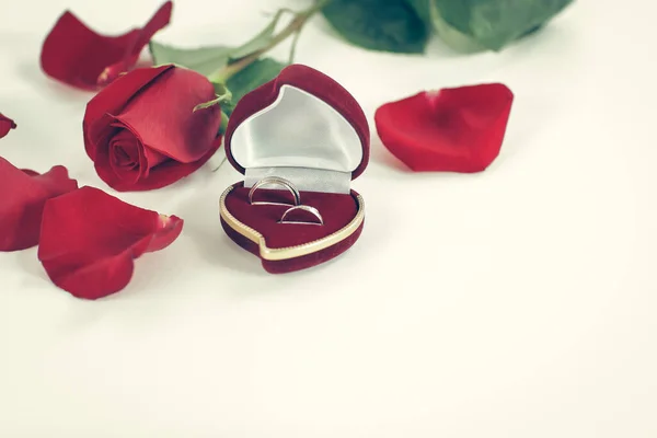 Anillos de boda y rosa roja sobre fondo blanco —  Fotos de Stock