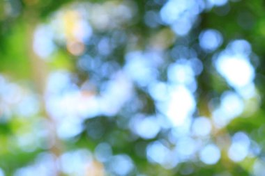 Parktaki taze yeşilliklerin bulanık görüntüsü.