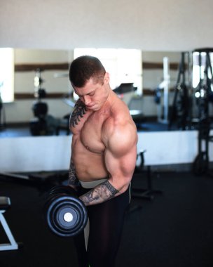 Genç vücut geliştirici spor salonunda dambıllarla egzersiz yapıyor..