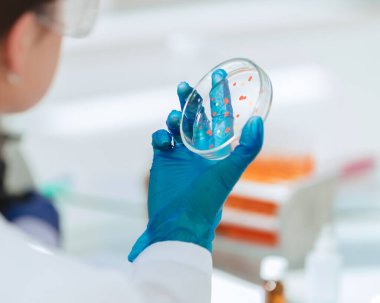 Kapat. Petri kabı olan kadın bilim adamı. .