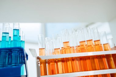 Laboratuvardaki masada test tüpleri olan konteyner..