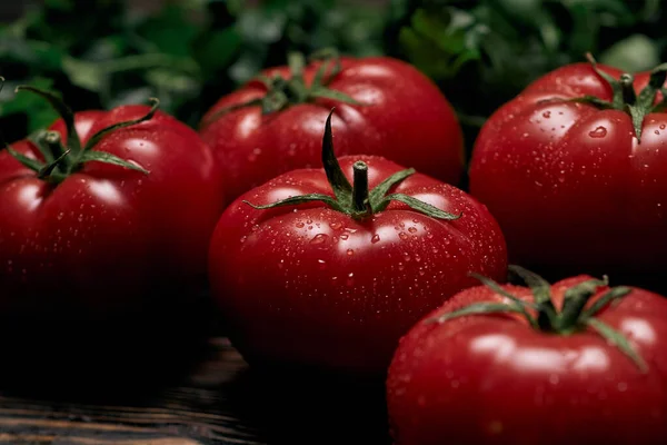 Los tomates grandes jugosos sobre la tabla de madera. — Foto de Stock