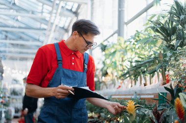 Bahçe merkezindeki tohum tepsilerinin yanında duruyor..