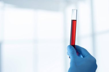 Test tüpü bir virologun elinde. fotokopi alanı olan bir fotoğraf.