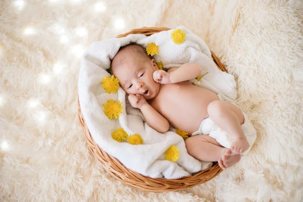 Pasgeboren baby liggend in een babymandje . — Stockfoto