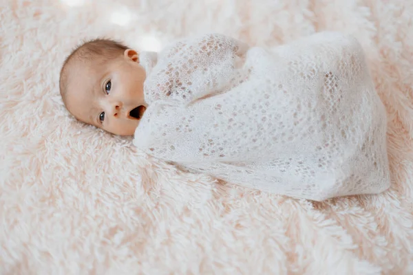 Funny newborn boy was lying under a soft blanket . — Stock Photo, Image