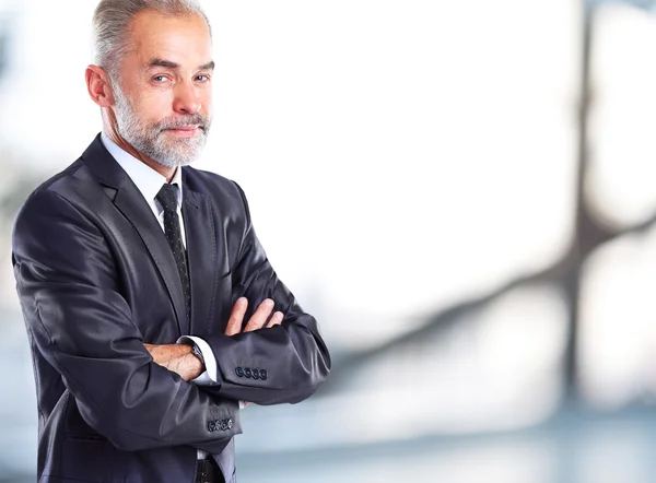 Retrato de hombre de negocios — Foto de Stock