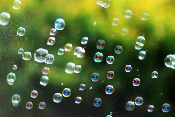 バブル送風機から虹バブル — ストック写真