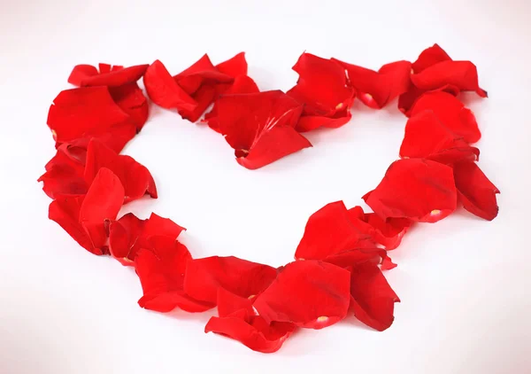 Bellissimo cuore di petali di rosa rossa isolati su bianco — Foto Stock
