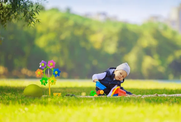 Niño feliz con juguetes en el picnic —  Fotos de Stock