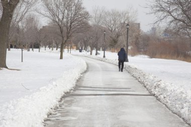 Toronto plajlar sahil yürüyen yalnız adam