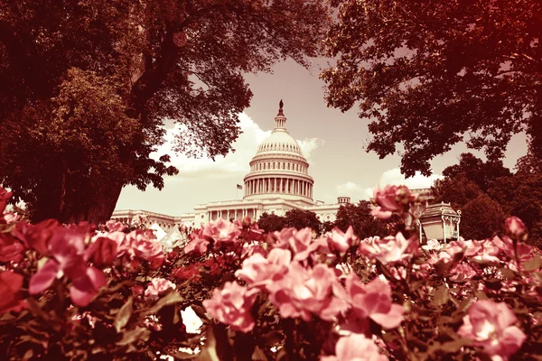 Capitolio de EE.UU. en Washington con aspecto de filtro de Instagram —  Fotos de Stock