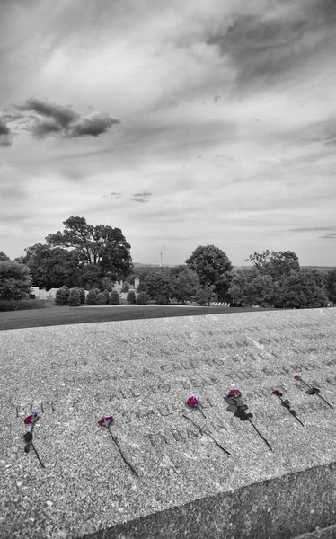 Růže Jfk Wall v Arlingtonu národní hřbitov — Stock fotografie