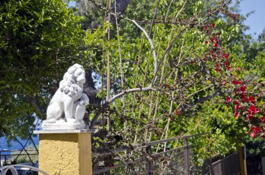 Begonvil tarafından aslan heykeli