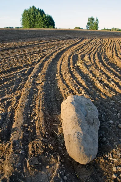 Freshly plowed field with a stone — Stock Photo, Image