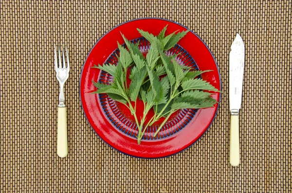 Taze bahar nettles bir tabak içinde — Stok fotoğraf