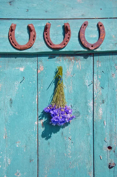 Three horseshoes and bunch of cornflowers hanging on oldwooden door — Stock Photo, Image