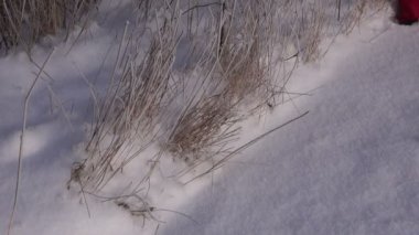 Kar üzerinden yürüyen kırmızı pantolon giyen adam