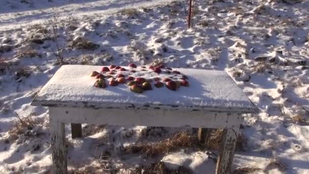 Κόκκινα μήλα στο τραπέζι κάτω από χιόνι — Αρχείο Βίντεο