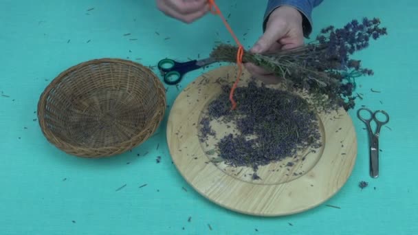 Jardineiro corte lavanda seca em uma tigela — Vídeo de Stock