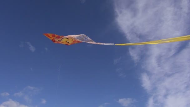 Kite with lions head — Stock Video