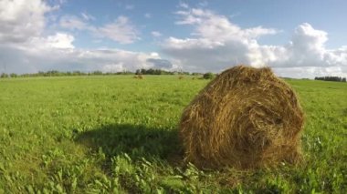 Haystacks çayırda zaman atlamalı 4k