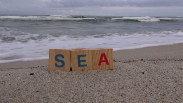 Wortmeer geschrieben mit Buchstabenwürfeln für Kinder — Stockvideo