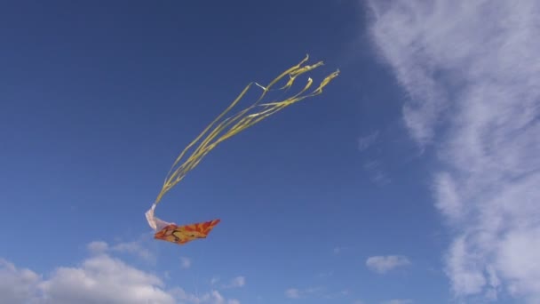 Handgefertigter Drachen mit bemaltem Löwenkopf fliegt in den Himmel — Stockvideo