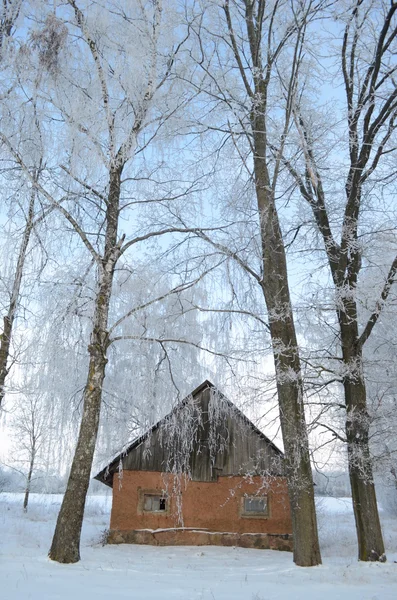 Homestead med en bygning med lervægge ved de hækfrostbelagte træer - Stock-foto