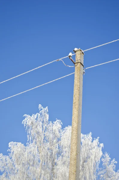 Hoarfrost covered electicity pole and tree Royalty Free Stock Images