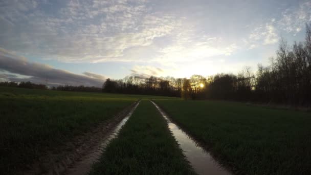 Trator faixas passando pelo campo, lapso de tempo 4K — Vídeo de Stock