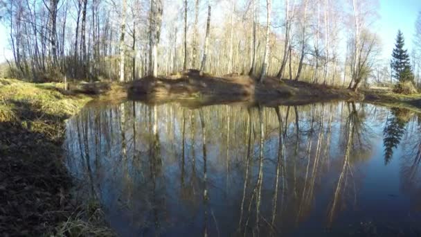 Lente zonlicht op een vijver, time-lapse 4k — Stockvideo