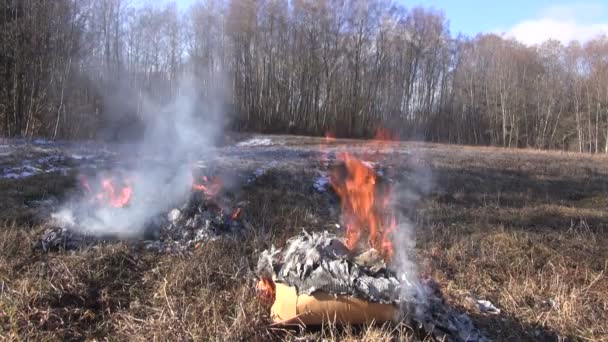 Rubbish burning in spring — Stock Video
