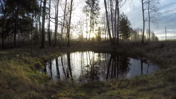 Lente zon stijgt boven de vijver, time-lapse 4k — Stockvideo