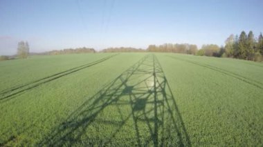 Bahar, zaman atlamalı 4k alanında genç buğday elektrik direğine gölge