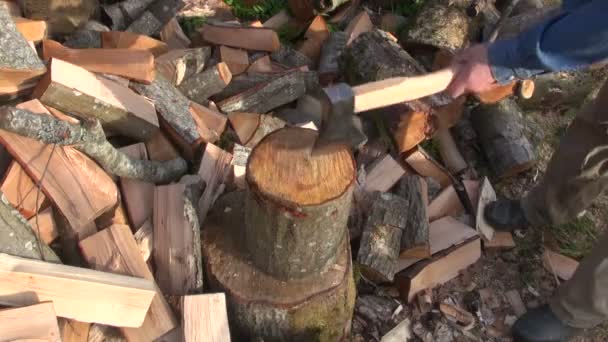 Фермер рубит дрова на открытом воздухе — стоковое видео