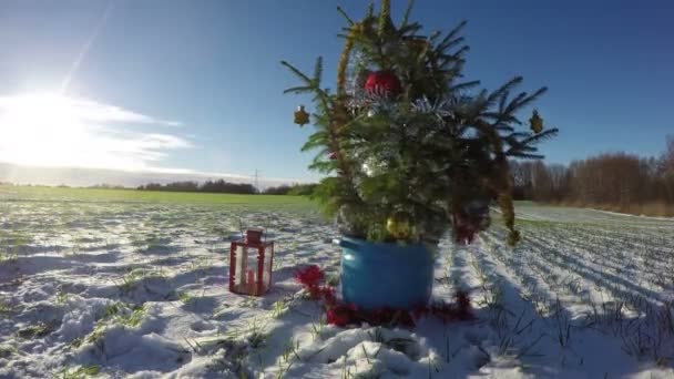 Kerstboom in pot met rode lantaarn in velden op winterdag, time-lapse 4k — Stockvideo