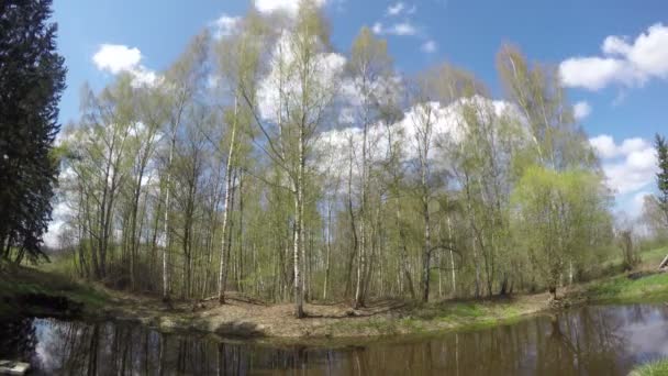 Paisaje con un estanque junto al bosque, time lapse 4K — Vídeos de Stock