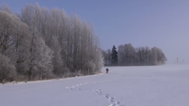 Fotograaf wandelen door besneeuwde veld fotograferen — Stockvideo