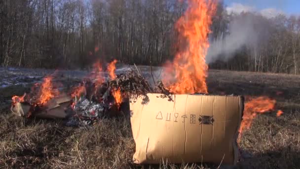 Rubbish in kartonnen dozen branden in het voorjaar — Stockvideo