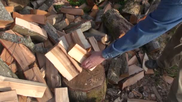 Bauer hackt Holz — Stockvideo