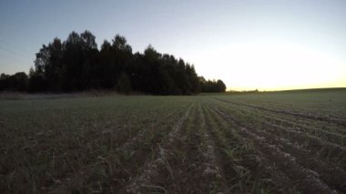 Sunrise sonbahar, zaman atlamalı 4k alanları