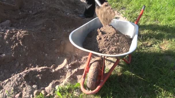 Arbetaren laddar grus i skottkärra — Stockvideo