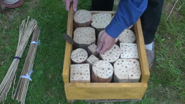 Making insect hotel frame — Stock Video