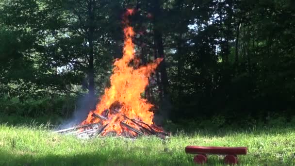 Large bonfire with orange flames — Stock Video